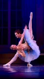 Sleeping Beauty 2017